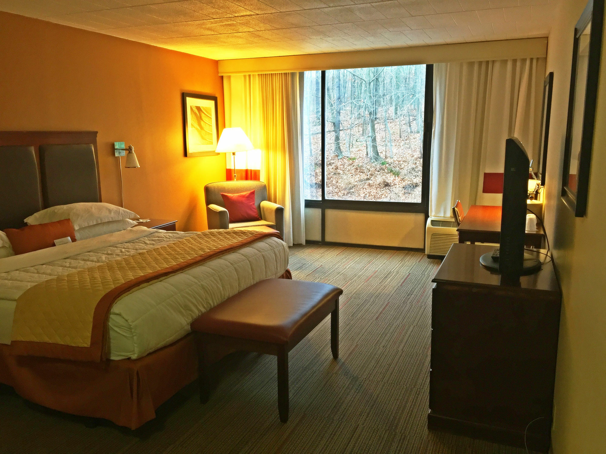 Wyndham Garden Inn Pittsburgh Airport Робинсон-Тауншип Экстерьер фото